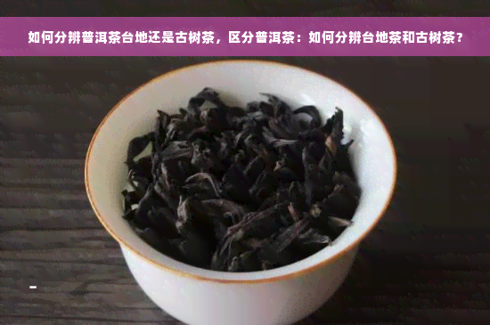 如何分辨普洱茶台地还是古树茶，区分普洱茶：如何分辨台地茶和古树茶？