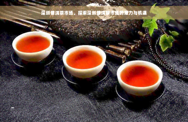 深圳普洱茶市场，探索深圳普洱茶市场的潜力与机遇