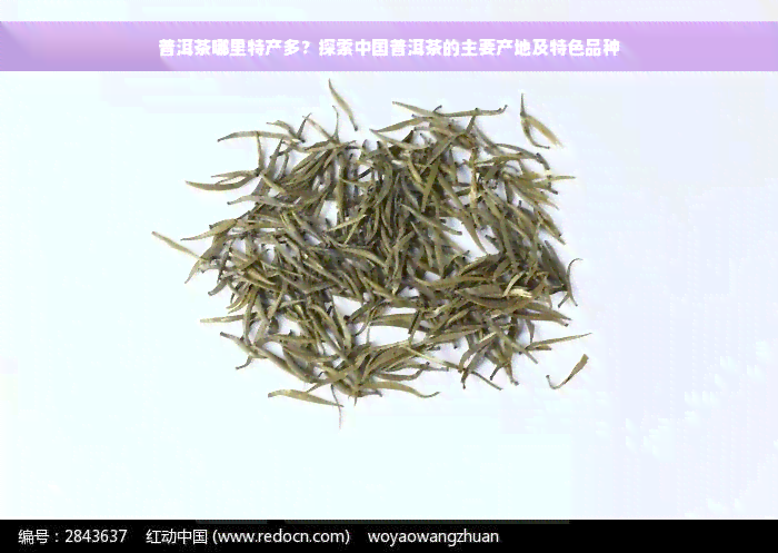 普洱茶哪里特产多？探索中国普洱茶的主要产地及特色品种