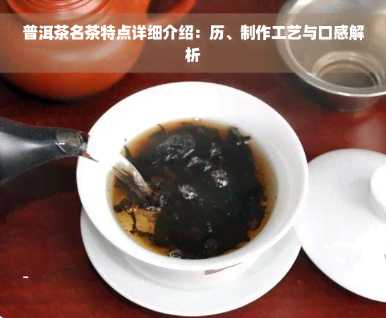 普洱茶名茶特点详细介绍：历、制作工艺与口感解析