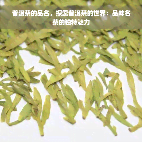 普洱茶的品名，探索普洱茶的世界：品味名茶的独特魅力