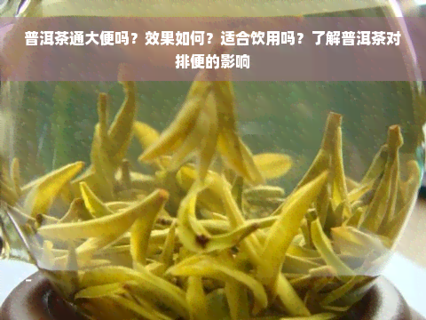 普洱茶通大便吗？效果如何？适合饮用吗？了解普洱茶对排便的影响