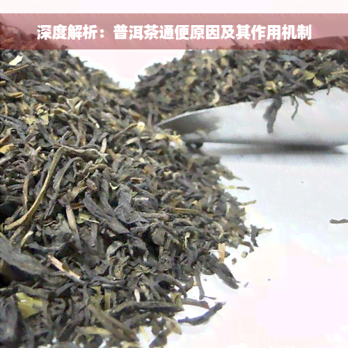 深度解析：普洱茶通便原因及其作用机制