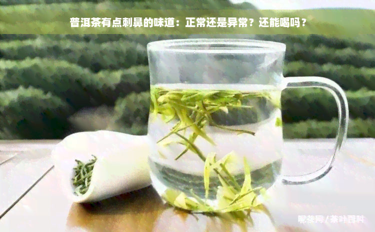 普洱茶有点刺鼻的味道：正常还是异常？还能喝吗？