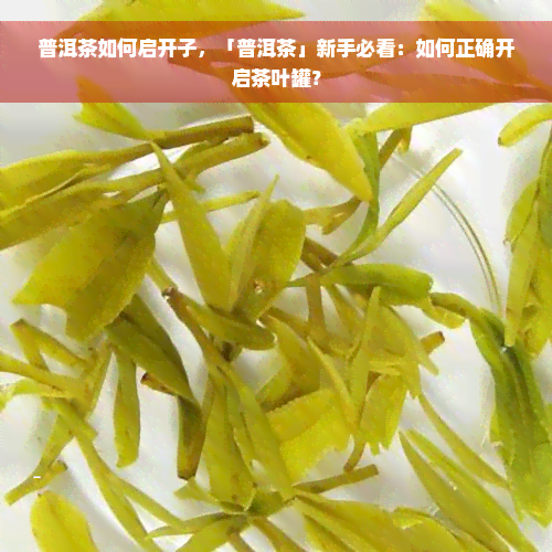 普洱茶如何启开子，「普洱茶」新手必看：如何正确开启茶叶罐？