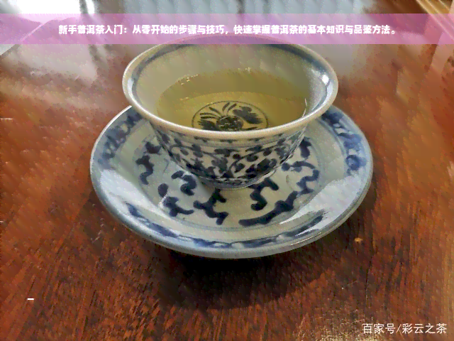 新手普洱茶入门：从零开始的步骤与技巧，快速掌握普洱茶的基本知识与品鉴方法。