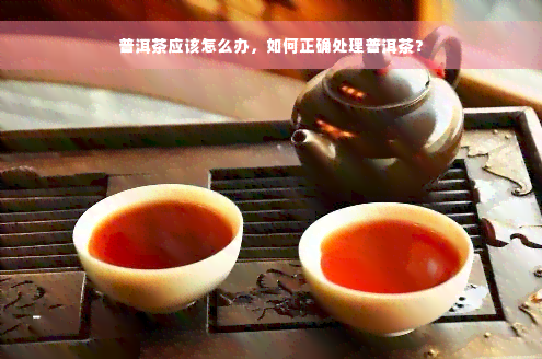 普洱茶应该怎么办，如何正确处理普洱茶？