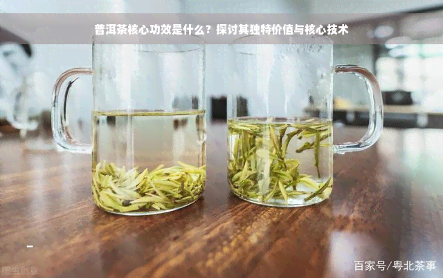 普洱茶核心功效是什么？探讨其独特价值与核心技术