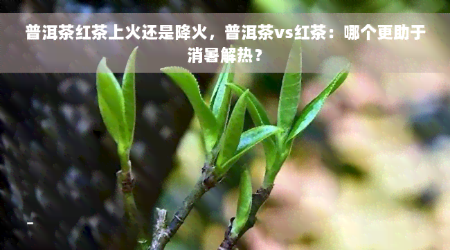 普洱茶红茶上火还是降火，普洱茶vs红茶：哪个更助于消暑解热？