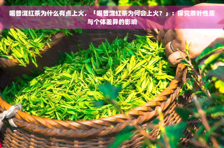 喝普洱红茶为什么有点上火，「喝普洱红茶为何会上火？」：探究茶叶性质与个体差异的影响