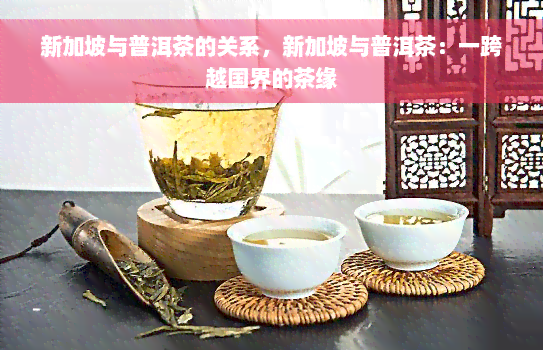 新加坡与普洱茶的关系，新加坡与普洱茶：一跨越国界的茶缘