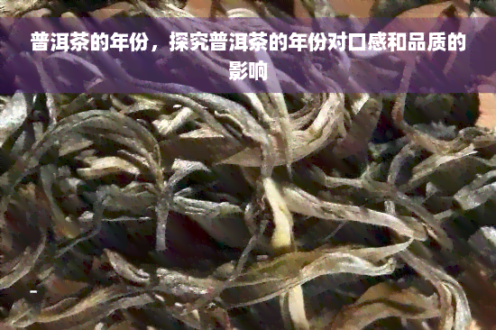 普洱茶的年份，探究普洱茶的年份对口感和品质的影响