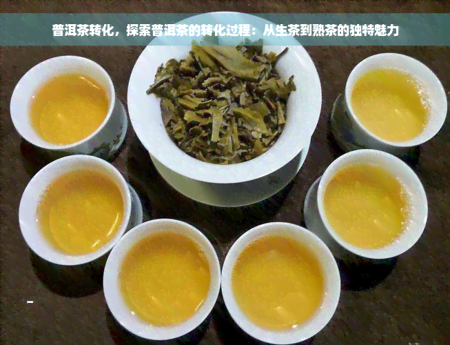 普洱茶转化，探索普洱茶的转化过程：从生茶到熟茶的独特魅力