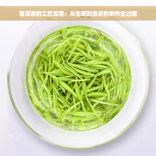 普洱茶的工艺流程：从生茶到熟茶的制作全过程