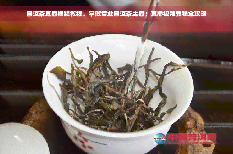 普洱茶直播视频教程，学做专业普洱茶主播：直播视频教程全攻略