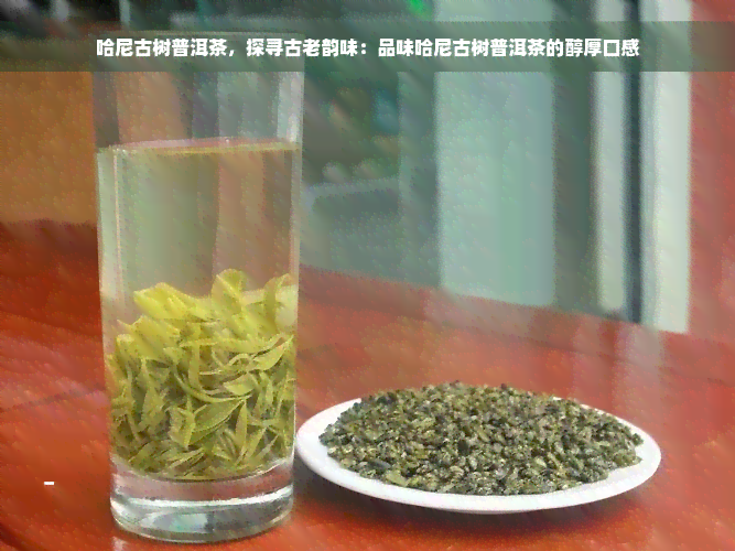 哈尼古树普洱茶，探寻古老韵味：品味哈尼古树普洱茶的醇厚口感