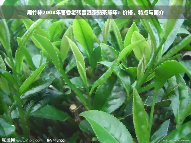 黑竹林2004年枣香老砖普洱茶熟茶陈年：价格、特点与简介