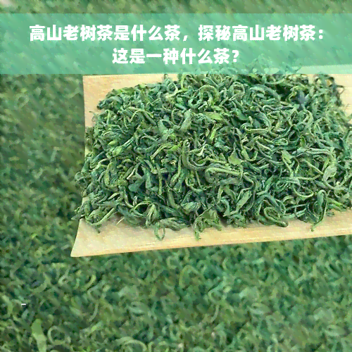 高山老树茶是什么茶，探秘高山老树茶：这是一种什么茶？