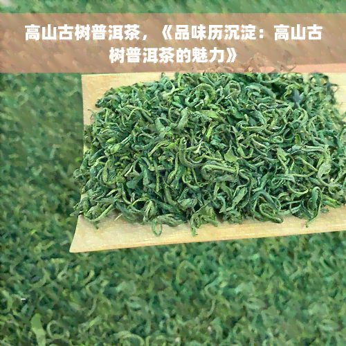 高山古树普洱茶，《品味历沉淀：高山古树普洱茶的魅力》