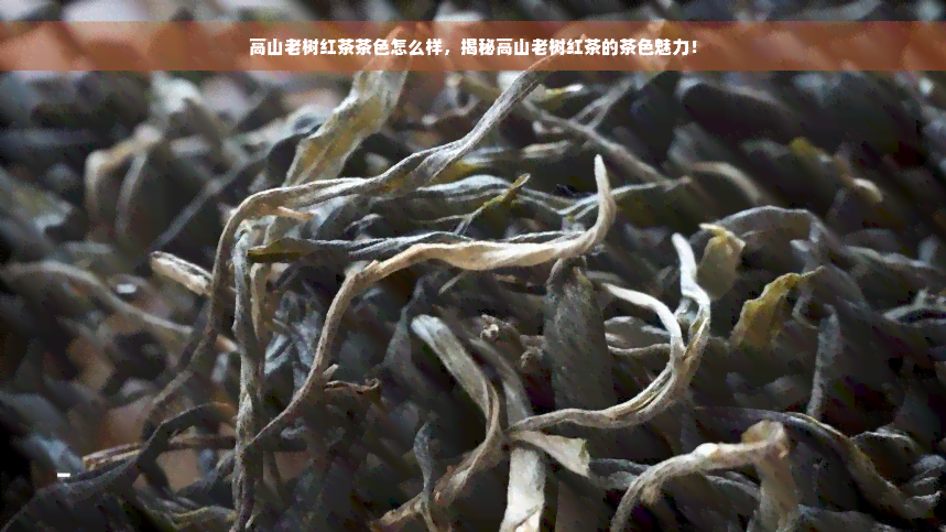 高山老树红茶茶色怎么样，揭秘高山老树红茶的茶色魅力！