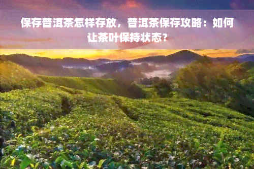 保存普洱茶怎样存放，普洱茶保存攻略：如何让茶叶保持状态？