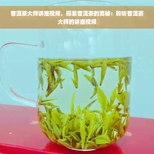 普洱茶大师讲座视频，探索普洱茶的奥秘：聆听普洱茶大师的讲座视频