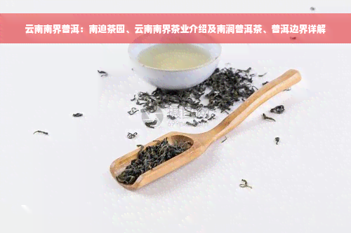 云南南界普洱：南迫茶园、云南南界茶业介绍及南涧普洱茶、普洱边界详解