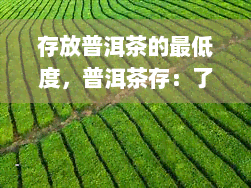 存放普洱茶的更低度，普洱茶存：了解存放普洱茶的更低度要求