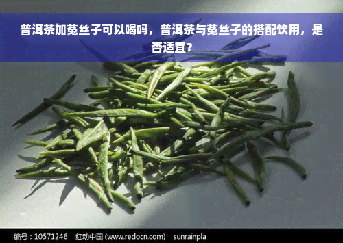 普洱茶加菟丝子可以喝吗，普洱茶与菟丝子的搭配饮用，是否适宜？