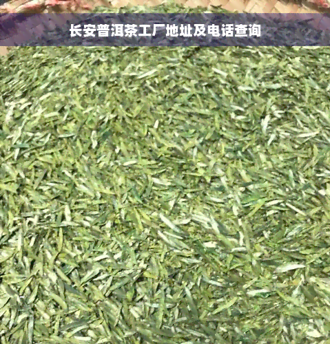 长安普洱茶工厂地址及电话查询