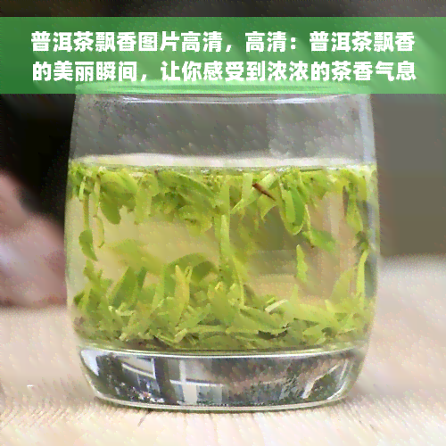 普洱茶飘香图片高清，高清：普洱茶飘香的美丽瞬间，让你感受到浓浓的茶香气息！