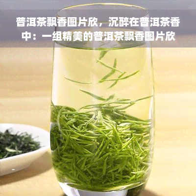 普洱茶飘香图片欣，沉醉在普洱茶香中：一组精美的普洱茶飘香图片欣