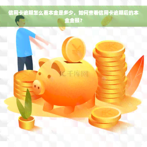 信用卡逾期怎么看本金是多少，如何查看信用卡逾期后的本金金额？