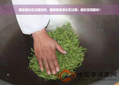 普洱茶化石过程视频，揭秘普洱茶化石过程：精彩视频解析！