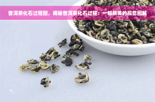 普洱茶化石过程图，揭秘普洱茶化石过程：一幅精美的视觉图解