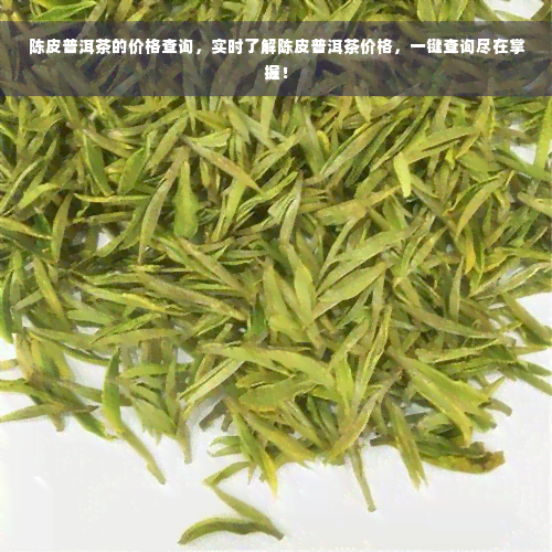 陈皮普洱茶的价格查询，实时了解陈皮普洱茶价格，一键查询尽在掌握！