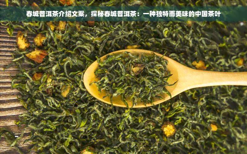 春城普洱茶介绍文案，探秘春城普洱茶：一种独特而美味的中国茶叶