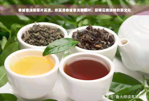 春城普洱茶图片高清，欣高清春城普洱茶图片，品味云南独特的茶文化