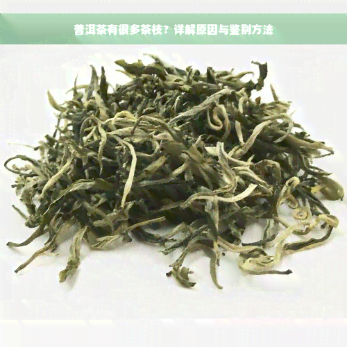 普洱茶有很多茶枝？详解原因与鉴别方法