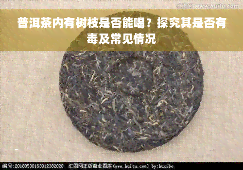 普洱茶内有树枝是否能喝？探究其是否有毒及常见情况