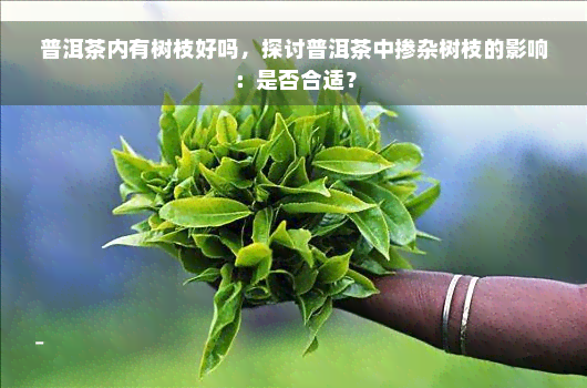 普洱茶内有树枝好吗，探讨普洱茶中掺杂树枝的影响：是否合适？