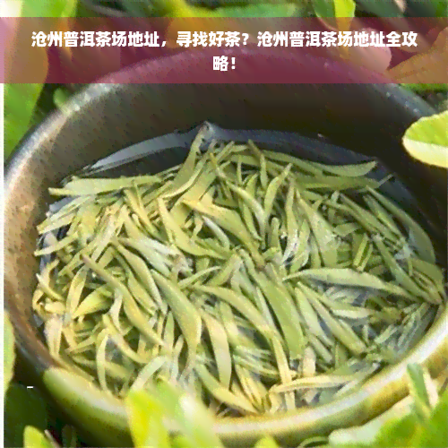 沧州普洱茶场地址，寻找好茶？沧州普洱茶场地址全攻略！