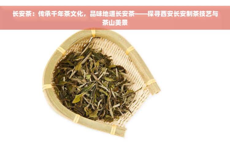 长安茶：传承千年茶文化，品味地道长安茶——探寻西安长安制茶技艺与茶山美景