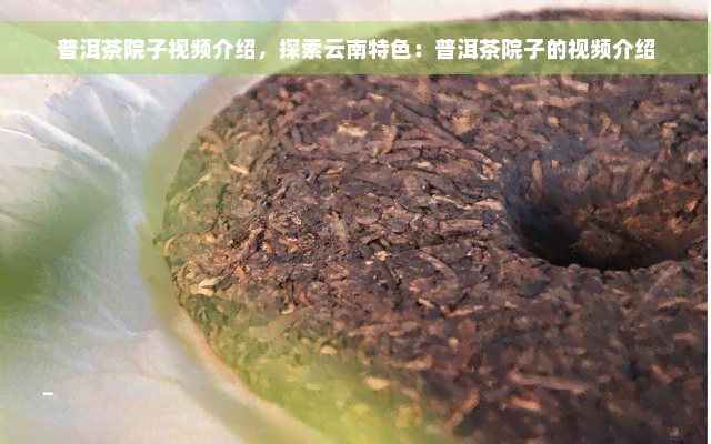 普洱茶院子视频介绍，探索云南特色：普洱茶院子的视频介绍