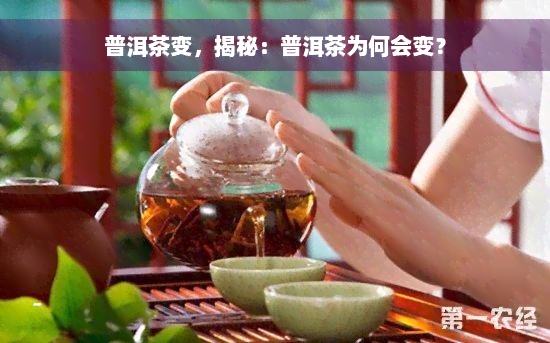 普洱茶变，揭秘：普洱茶为何会变？