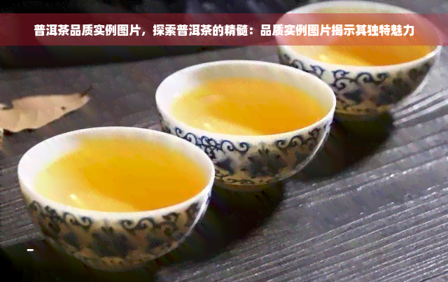 普洱茶品质实例图片，探索普洱茶的精髓：品质实例图片揭示其独特魅力