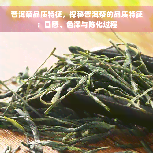 普洱茶品质特征，探秘普洱茶的品质特征：口感、色泽与陈化过程