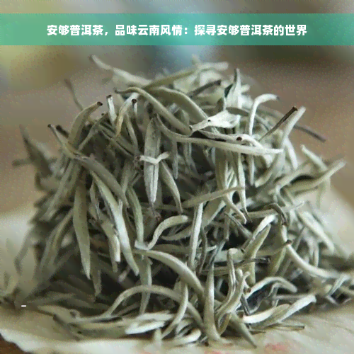 安够普洱茶，品味云南风情：探寻安够普洱茶的世界