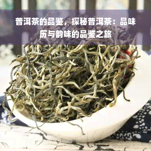 普洱茶的品鉴，探秘普洱茶：品味历与韵味的品鉴之旅