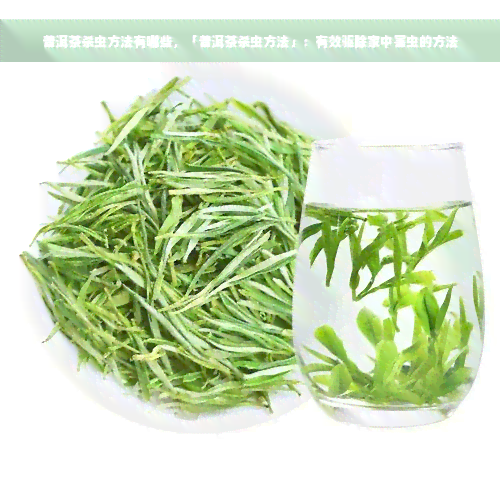 普洱茶杀虫方法有哪些，「普洱茶杀虫方法」：有效驱除家中害虫的方法